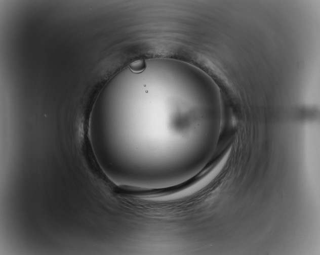 X0000090620685200707171435