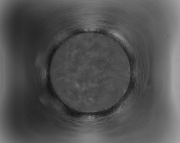 X0000090620687200707171435