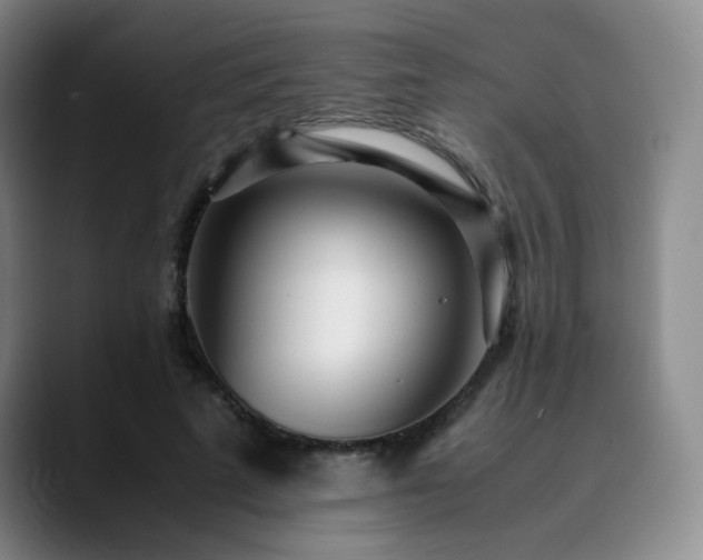 X0000090620689200707171435