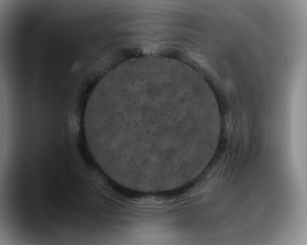 X0000090620691200707171435