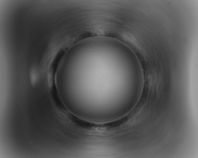 X0000090620694200707171435