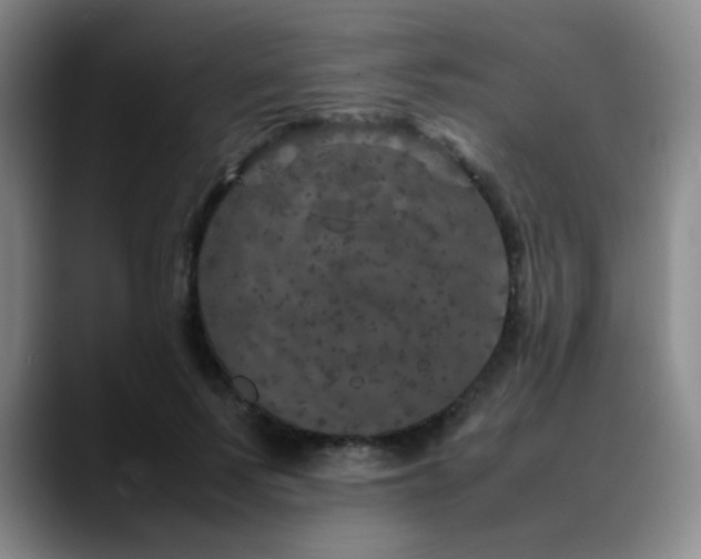 X0000090620695200707171435