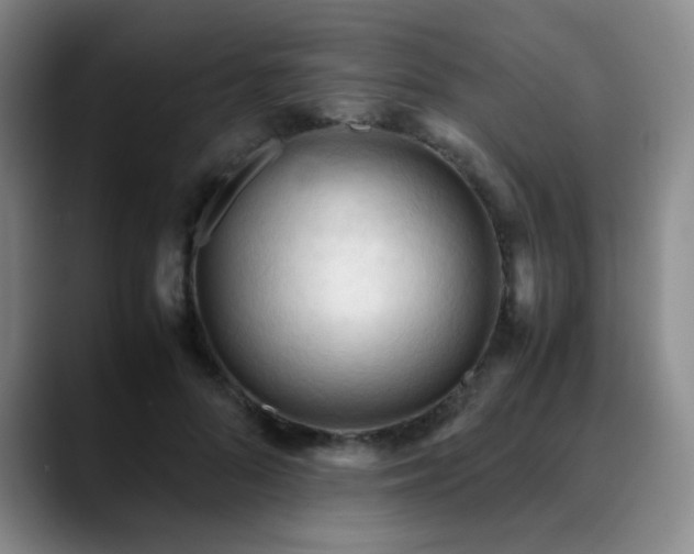 X0000090620696200707171435