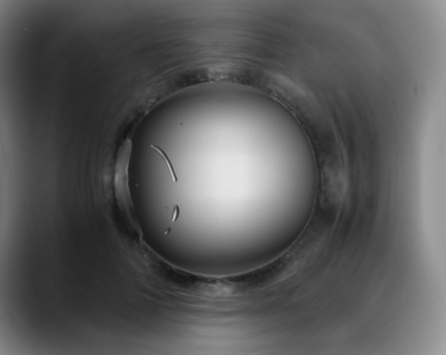 X0000090620698200707171435