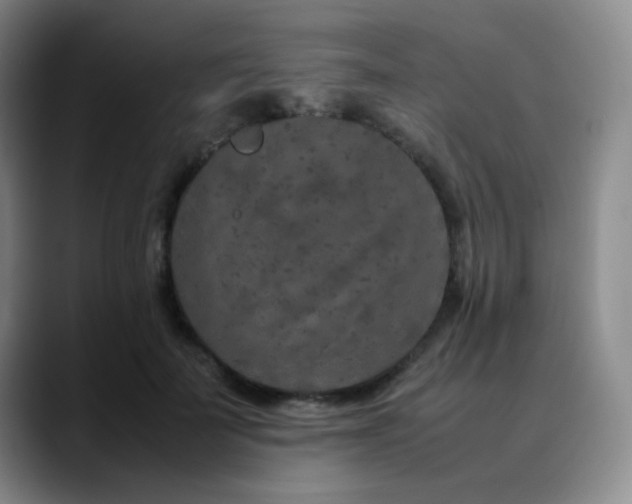 X0000090620699200707171435