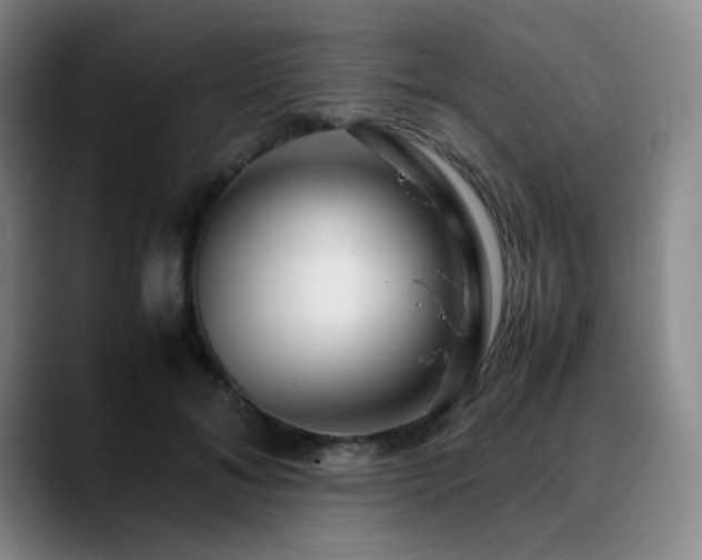 X0000090620700200707171435