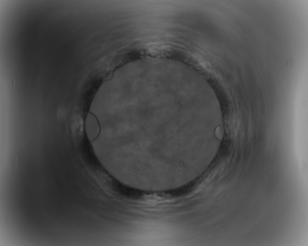 X0000090620703200707171435