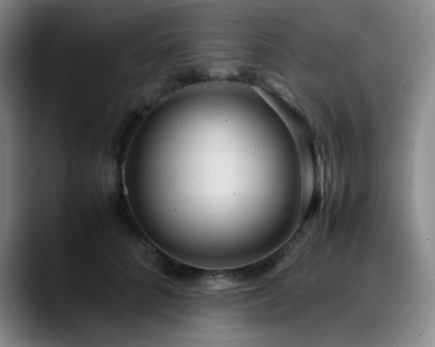 X0000090620704200707171435