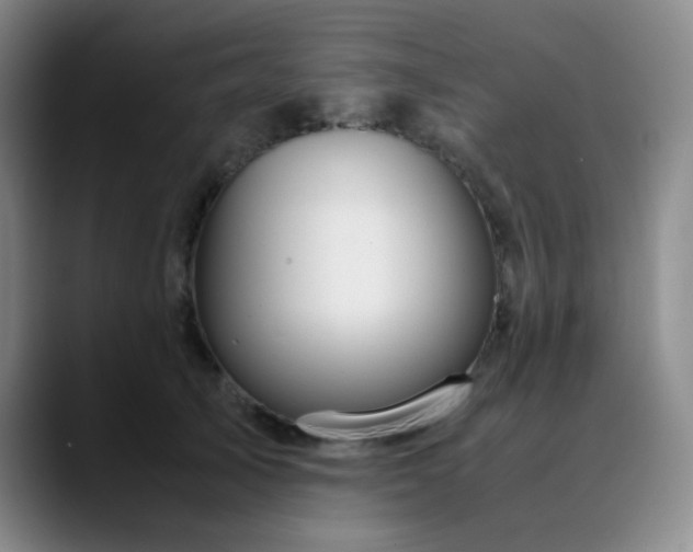 X0000090620705200707171435