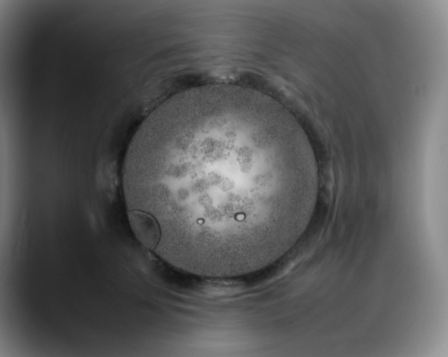 X0000090620707200707171435