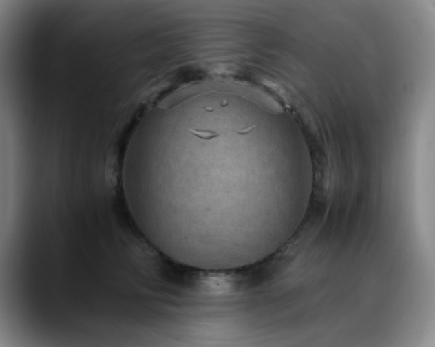 X0000090620710200707171435