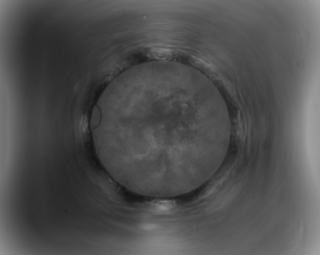 X0000090620711200707171435