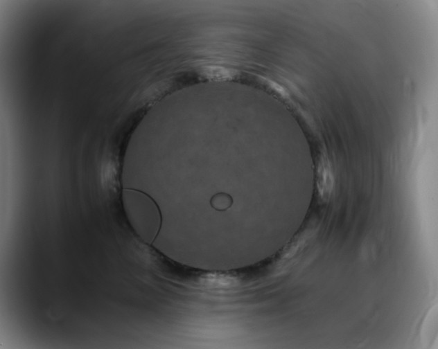 X0000090620714200707171435