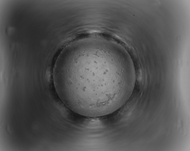 X0000090620715200707171435