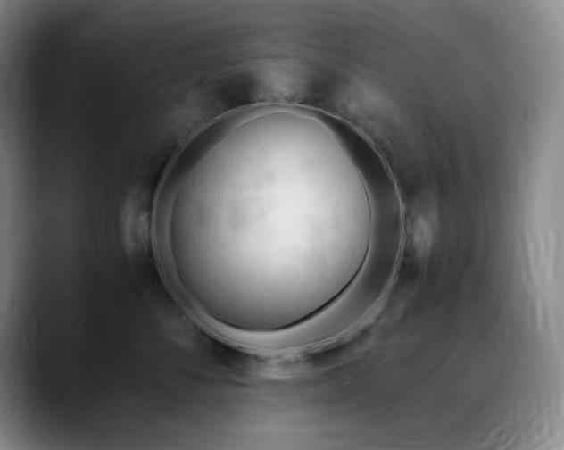 X0000090620716200707171435