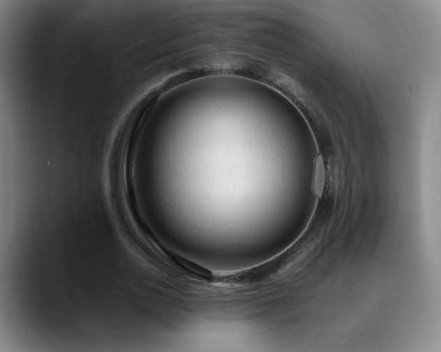 X0000090620726200707171435