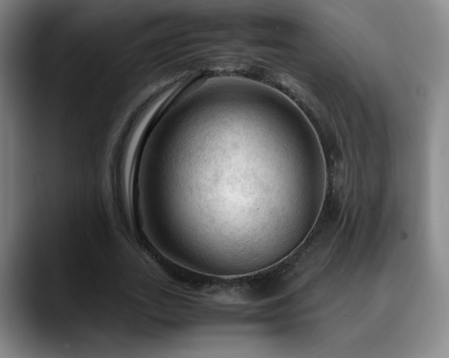 X0000090620727200707171435