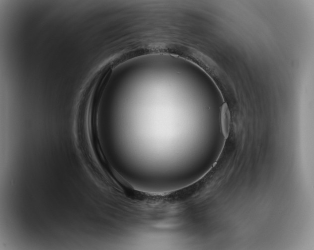X0000090620728200707171435