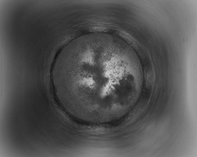 X0000090620729200707171435