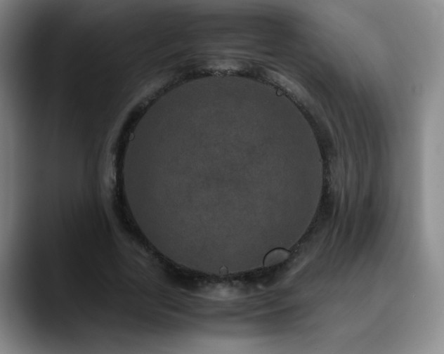 X0000090620731200707171435