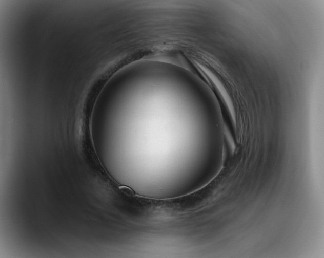 X0000090620732200707171435