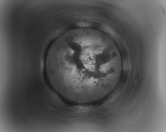 X0000090620733200707171435