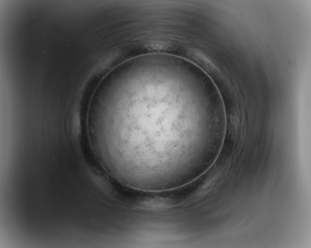 X0000090620734200707171435
