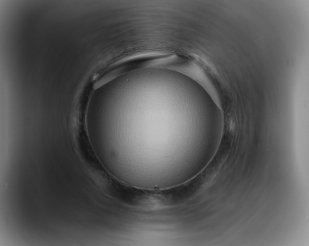 X0000090620736200707171435