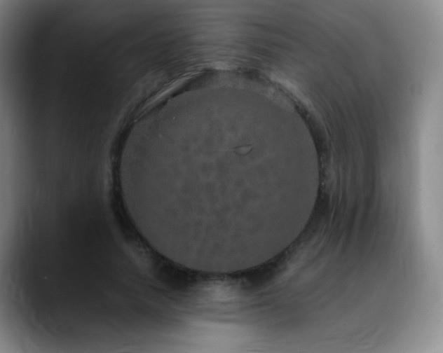 X0000090620738200707171435