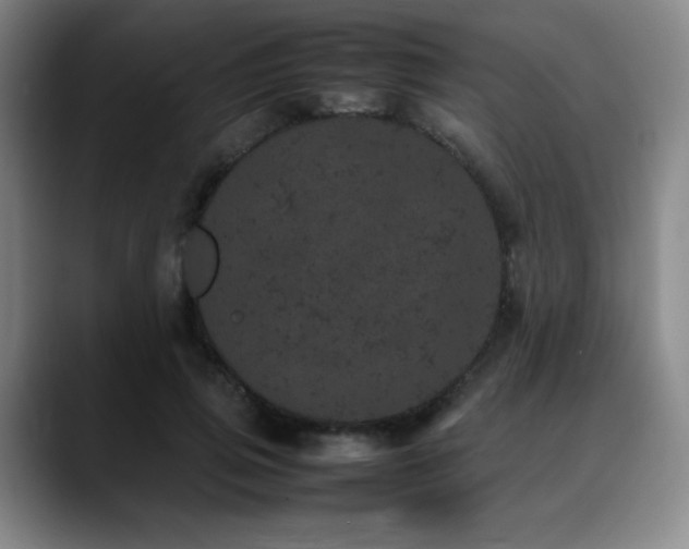 X0000090620741200707171435