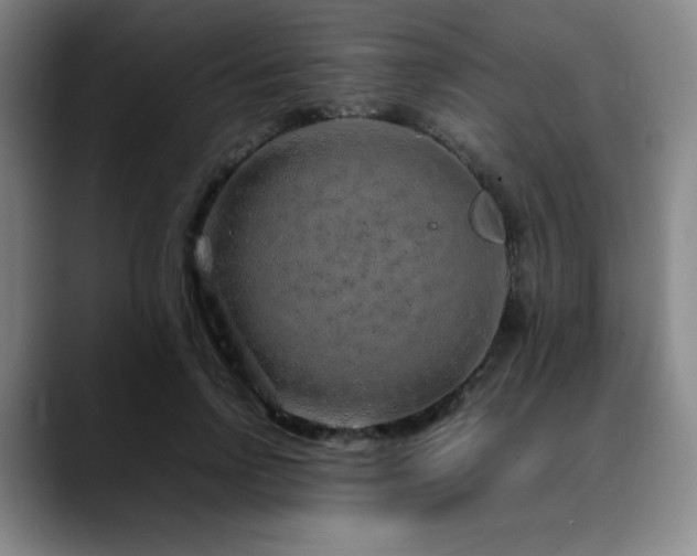 X0000090620742200707171435