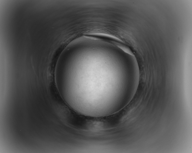 X0000090620743200707171435