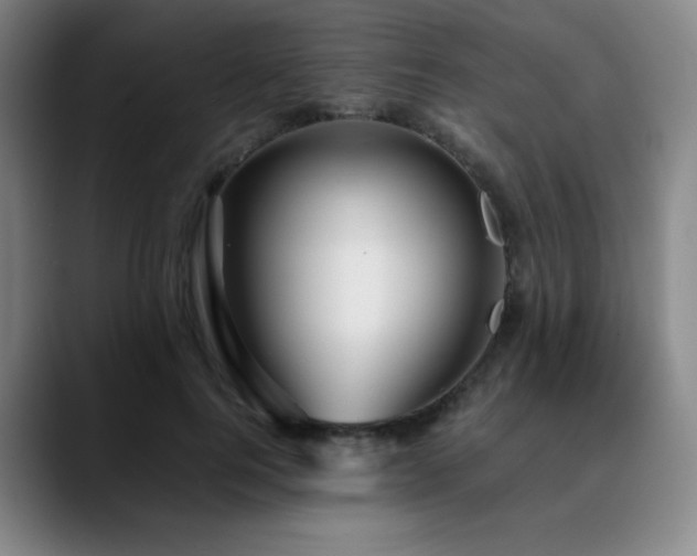 X0000090620744200707171435