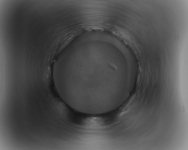 X0000090620748200707171435