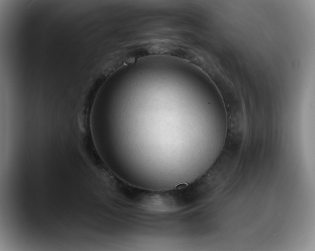 X0000090620755200707171435