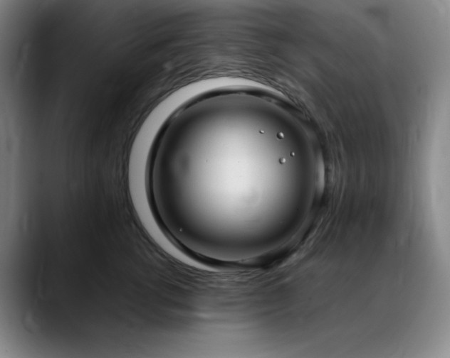 X0000090620762200707171435