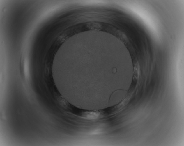 X0000090620765200707171435