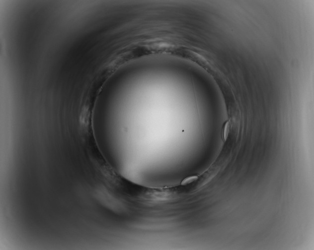 X0000090620767200707171435