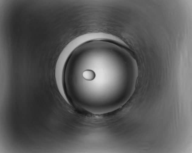 X0000090620768200707171435