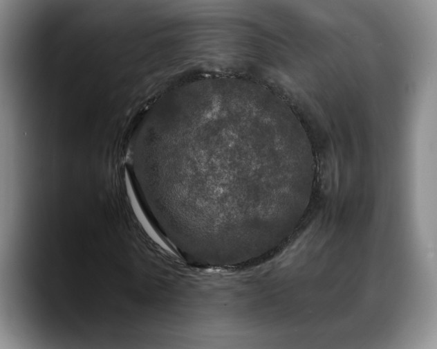 X0000090620770200707171434