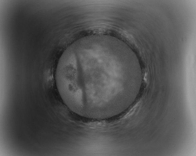 X0000090620771200707171434
