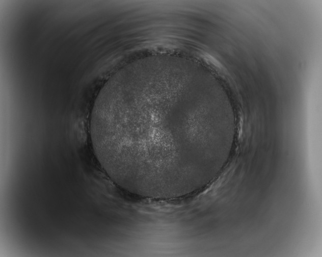 X0000090620774200707171434