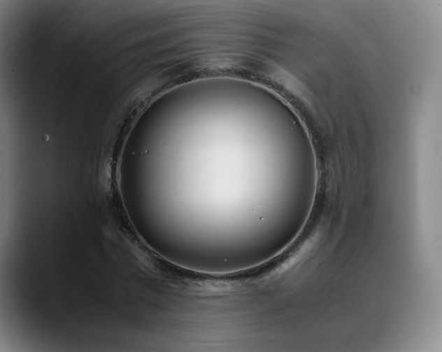 X0000090620777200707171434