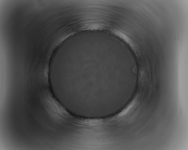 X0000090620778200707171434
