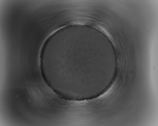 X0000090620779200707171434