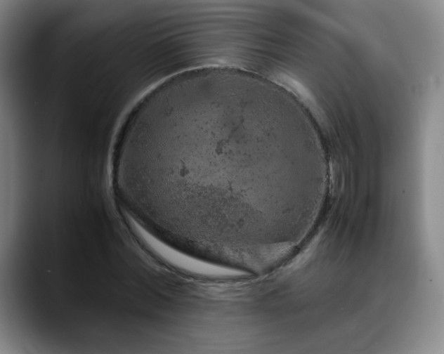 X0000090620780200707171434
