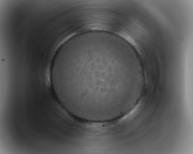 X0000090620782200707171434