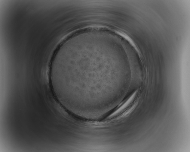 X0000090620783200707171434
