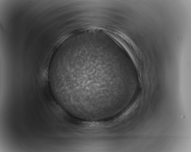 X0000090620785200707171434