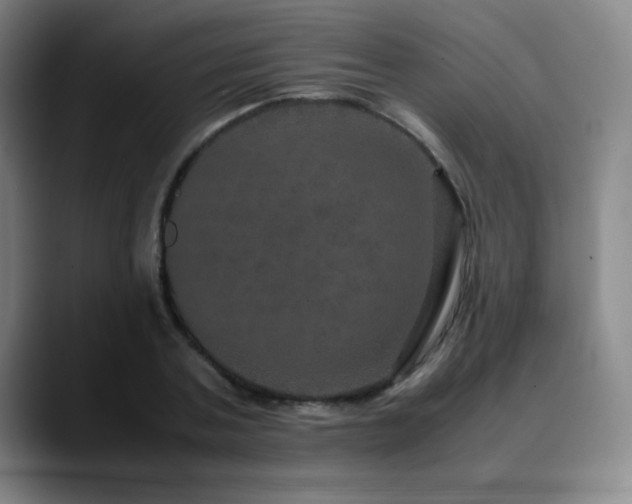 X0000090620787200707171434